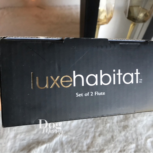 4 Luxe Habitat Yellow Gold Champagne Flute Wine Glass Box Set - Picture 5 of 7